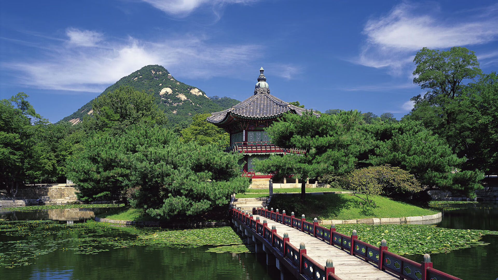 世界体操团体赛选手赛后康复计划讲解，体操世界锦标赛